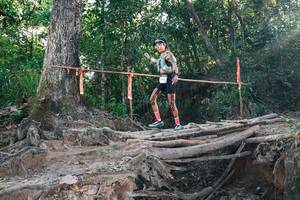 BIB: 
                            <button type="button" onclick="openModal(27306971)" class="btn btn-primary btn-sm float-right btn-popup" data-toggle="modal" data-target=".modal-high-quality">
                        <i class="fas fa-shopping-cart"></i> Add to Cart
                    </button>
                                            <button type="button" onclick="isThisMe(27306971, true)" class="btn btn-success btn-sm float-right btn-popup btn-isme hidden" data-toggle="tooltip" data-placement="bottom" title="นี่คือรูปของคุณใช่ไหม คลิกที่นี่เพื่อเอาเข้าอัลบั้ม">
                        <i class="fas fa-plus"></i> Add to album
                    </button>
                    <button type="button" onclick="isThisMe(27306971, false)" class="btn btn-warning btn-sm float-right btn-popup btn-isnotme hidden">
                        <i class="fas fa-ban"></i> Remove from album
                    </button>